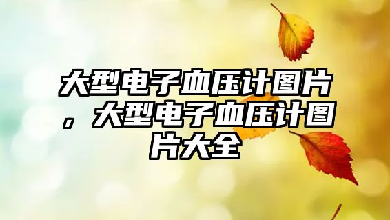 大型電子血壓計圖片，大型電子血壓計圖片大全