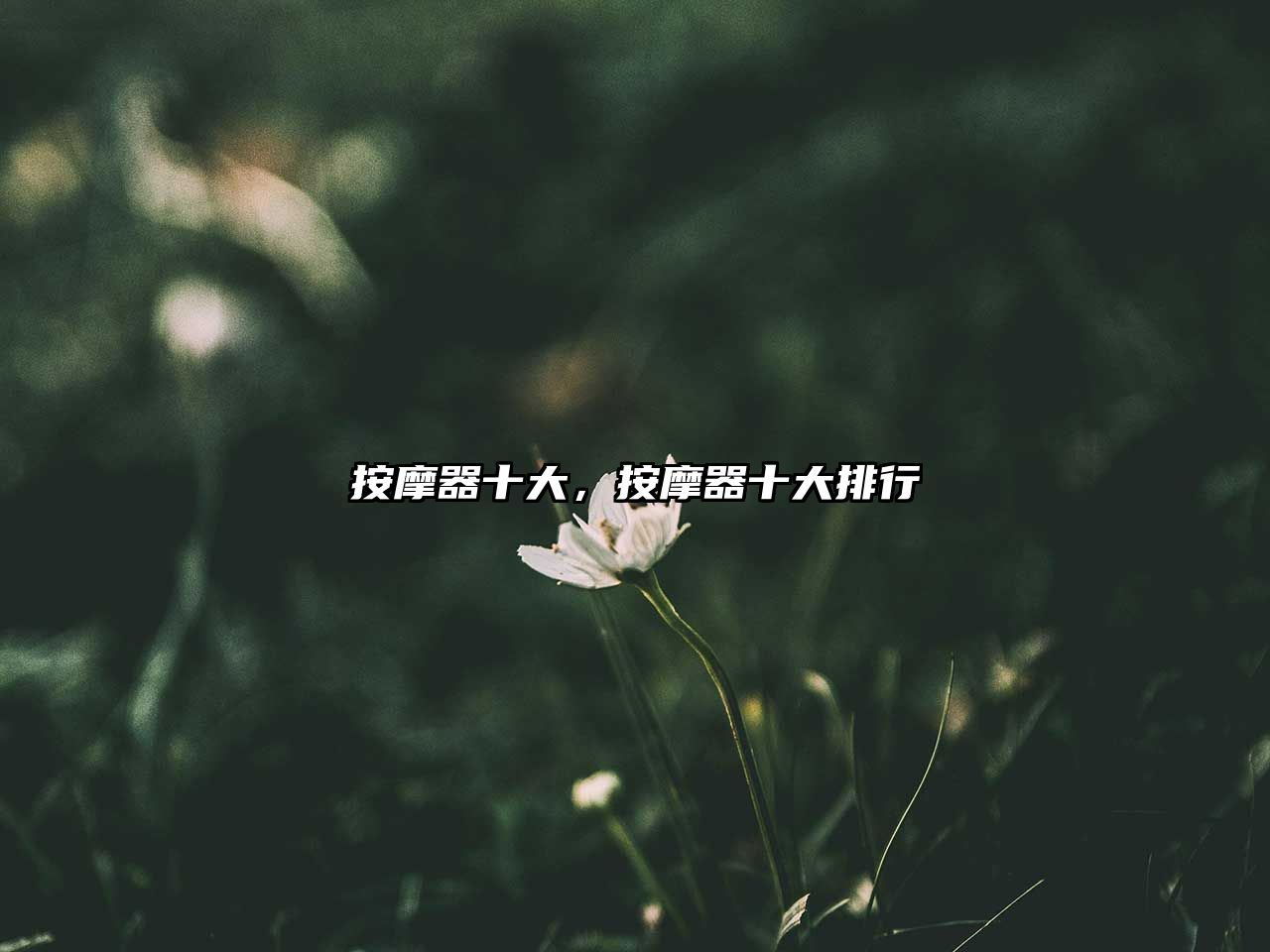 按摩器十大，按摩器十大排行