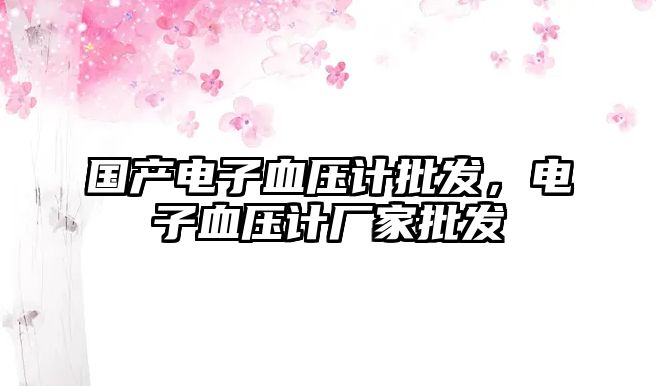 國產(chǎn)電子血壓計(jì)批發(fā)，電子血壓計(jì)廠家批發(fā)